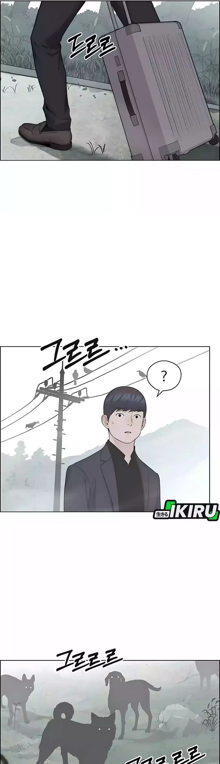 The Man   Chapter 247 Gambar 31