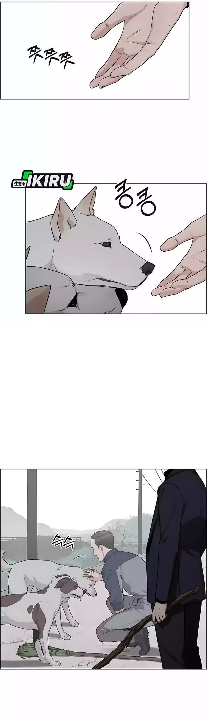 The Man   Chapter 247 Gambar 37