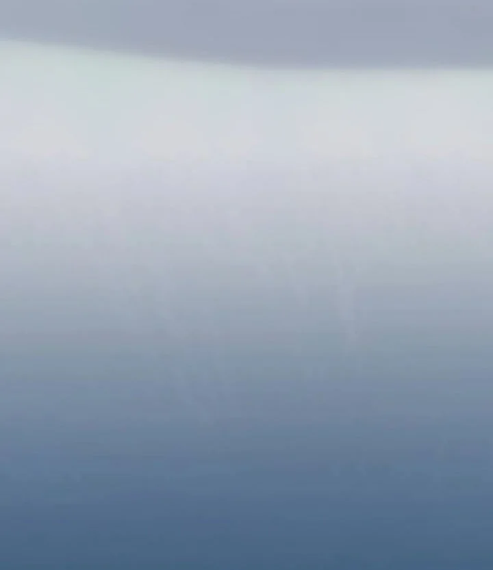 The Man   Chapter 256 Gambar 30