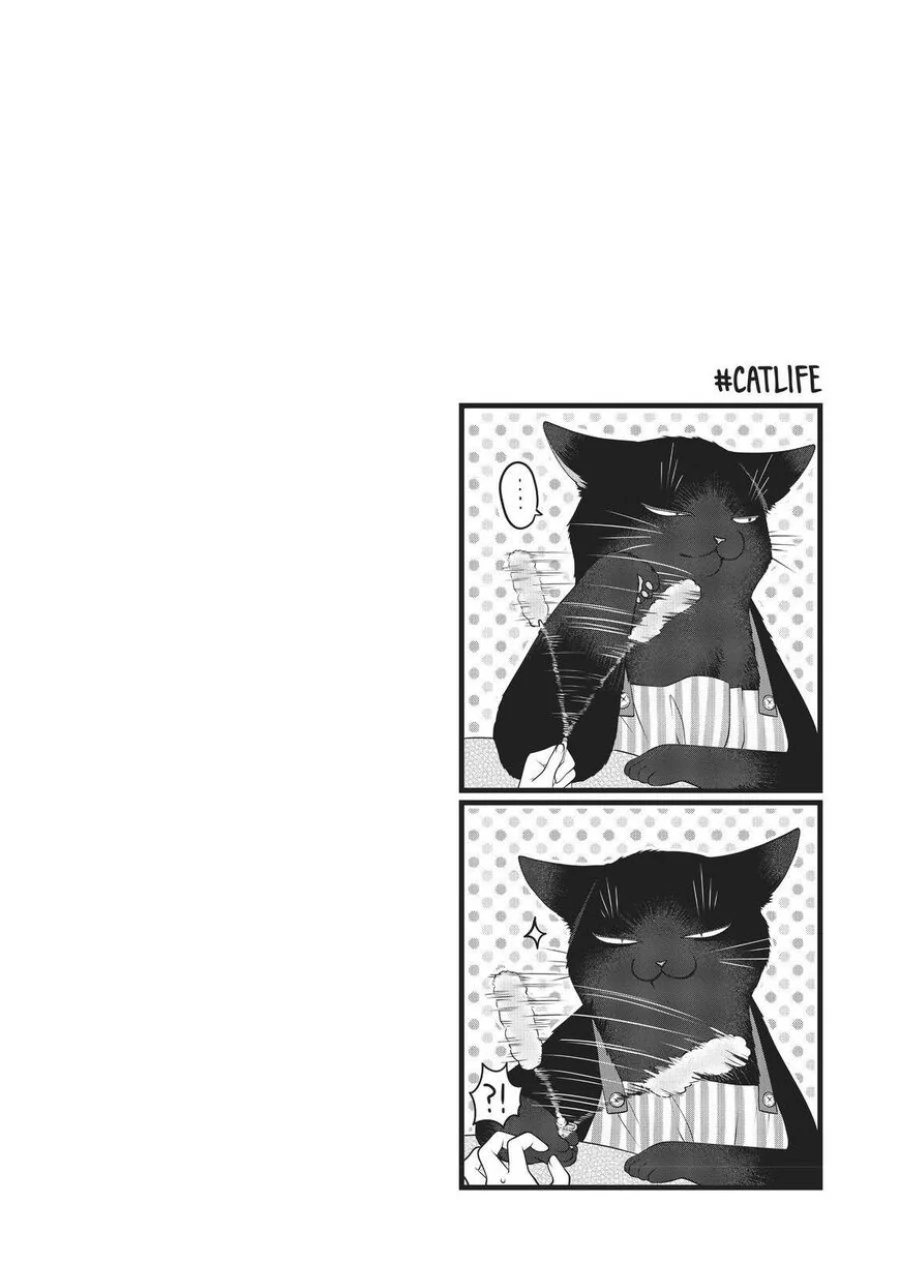 The Masterful Cat is Depressed Again Today Chapter 25 Gambar 12