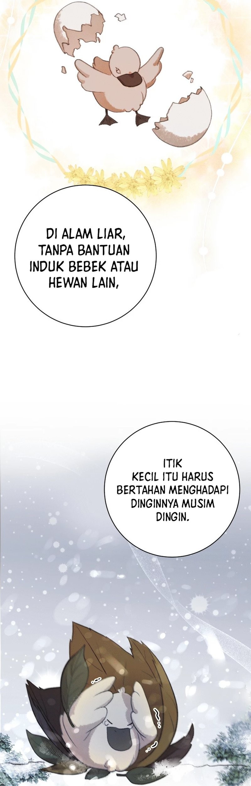 The Miraculous Physical Therapist Chapter 64 Gambar 60