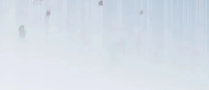 The Modern Life of the Absolute Chapter 9 Gambar 54