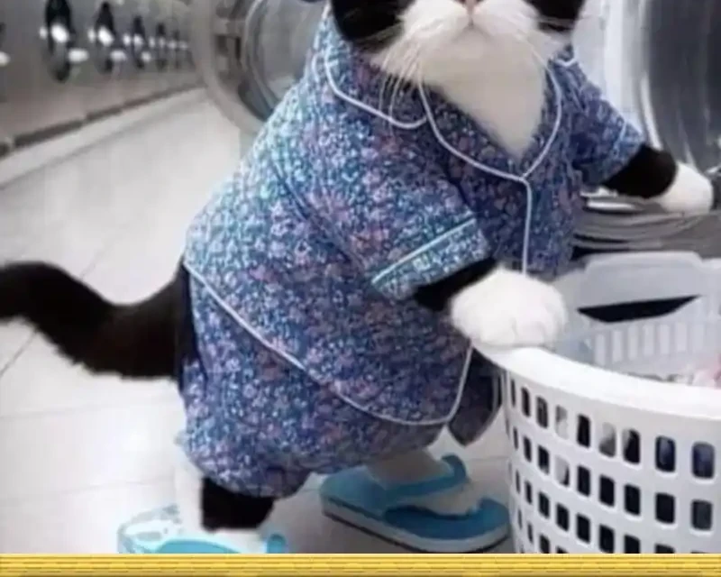 The Real Daughter, She Is an Almighty Boss Chapter 163 Gambar 30