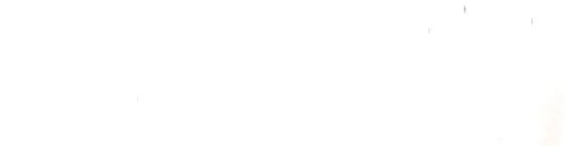 The Regressor Can Make Them All Chapter 20 Gambar 37