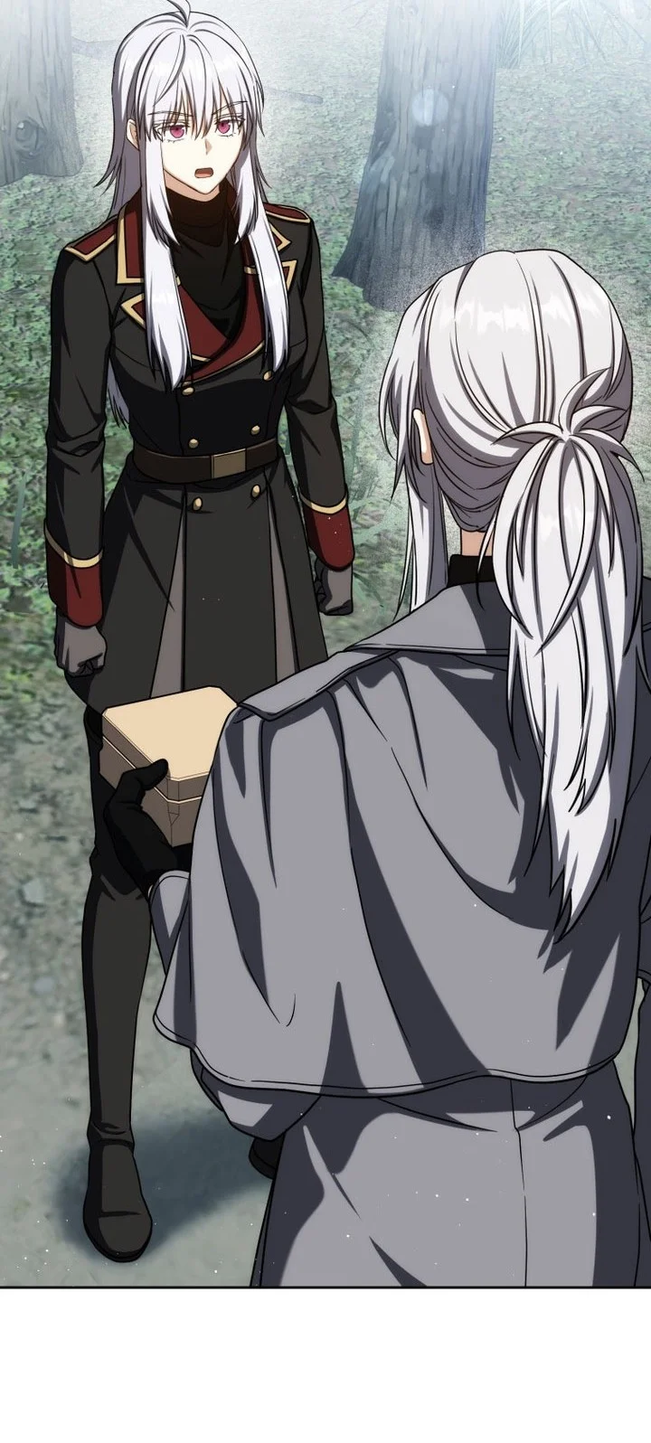 The Reincarnated Assassin is a Genius Swordsman Chapter 97 Gambar 65