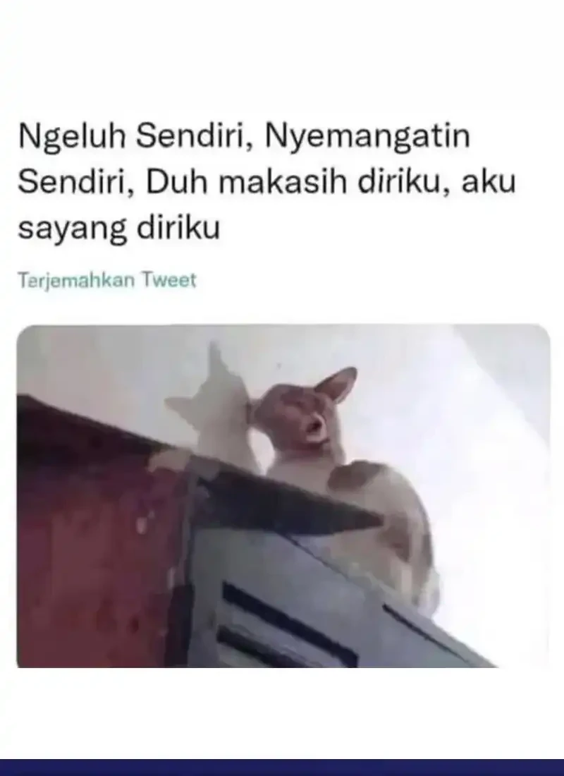 The Returned C-Rank Tank Won’t Die! Chapter 45 Gambar 126