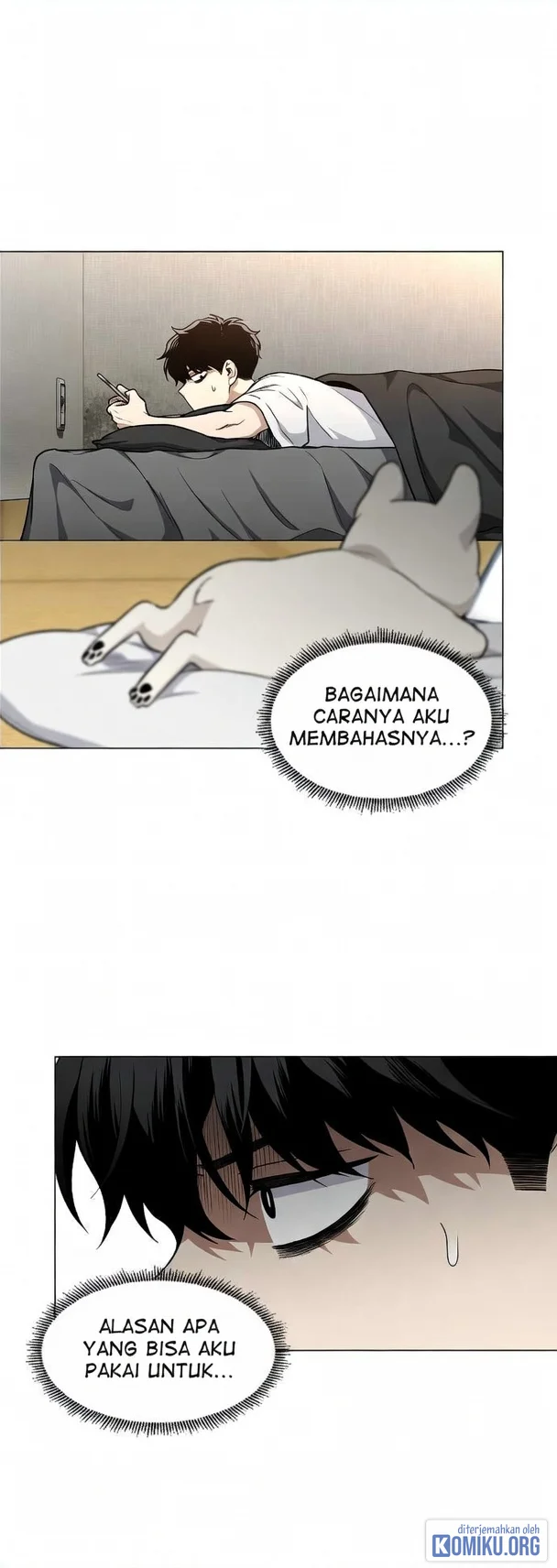 Halaman 17