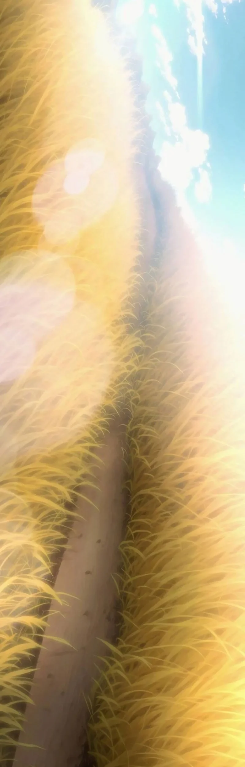 The Shepherd Wizard Chapter 12 Gambar 51