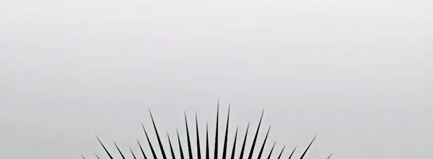 The Snow Leopard Baby of the Black Leopard Family Chapter 31 Gambar 76