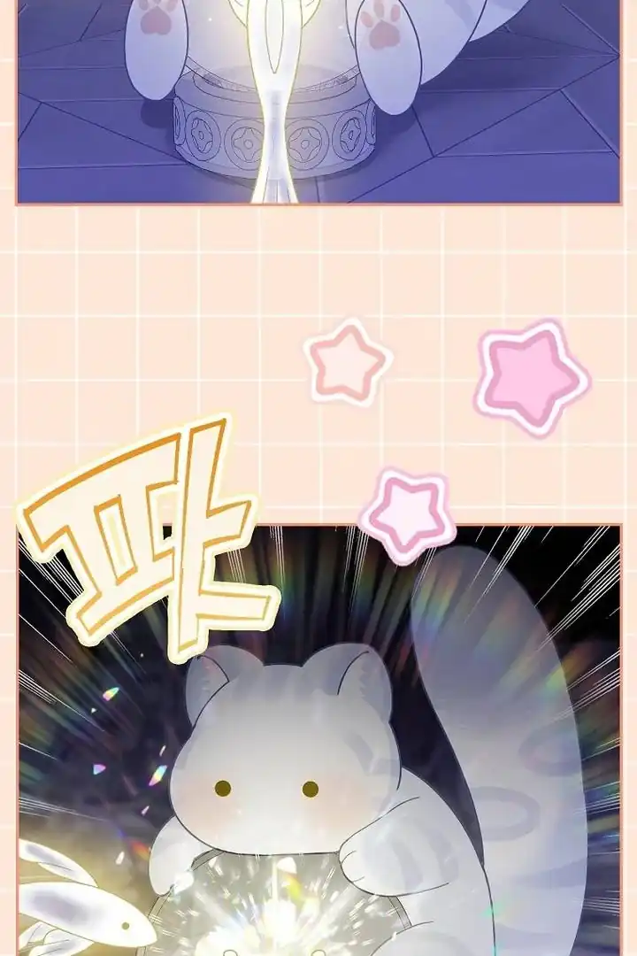 The Snow Leopard Baby of the Black Leopard Family Chapter 40 Gambar 70