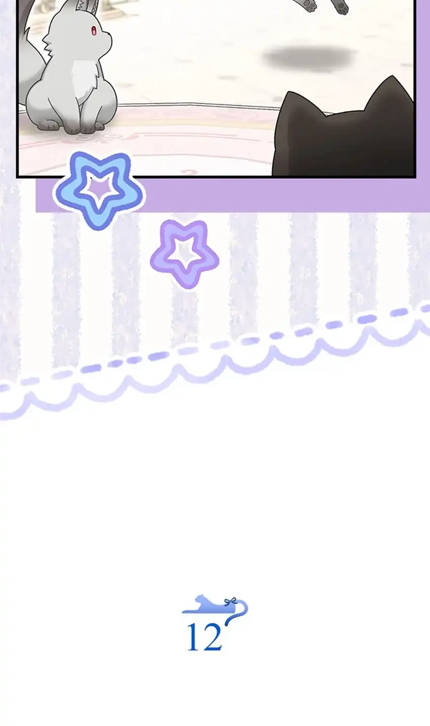 The Snow Leopard Baby of the Black Leopard Family Chapter 58.4 Gambar 10