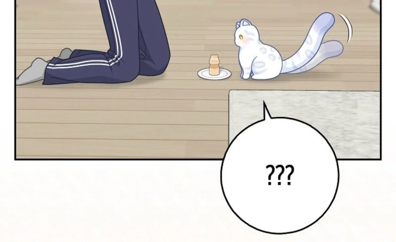 The Snow Leopard Baby of the Black Leopard Family Chapter 84 Gambar 24