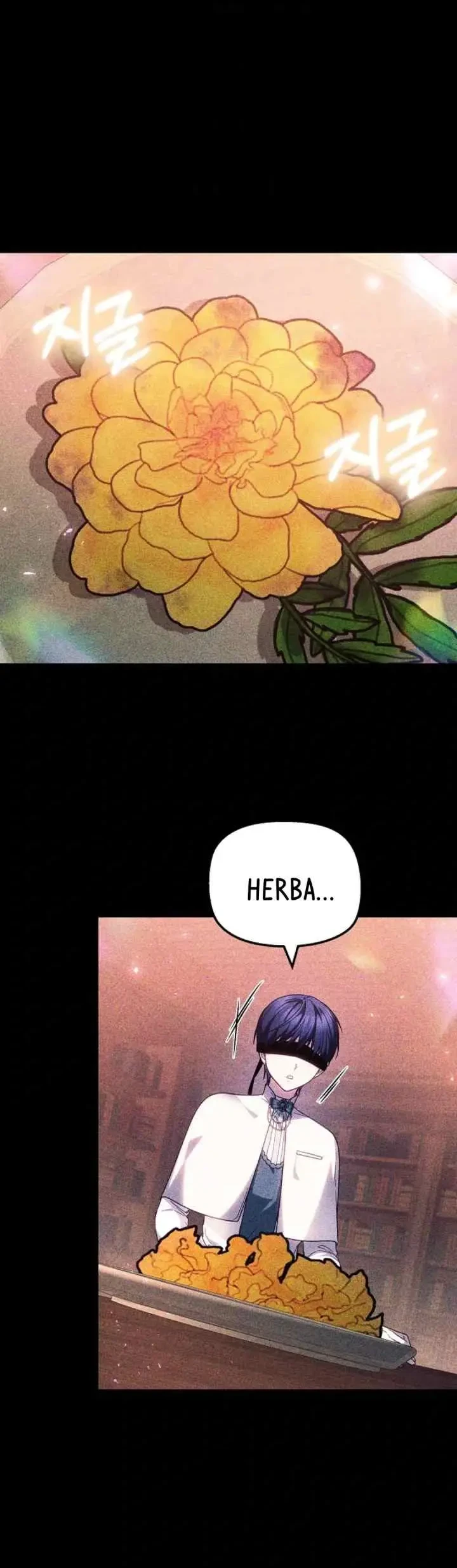 The Strong lady Wishes to Become Delicate Chapter 28 Gambar 29