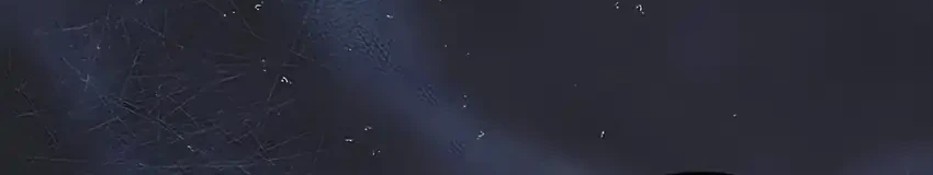 The Terminally Ill Baby Healer Doesn’t Hide Her Genius Chapter 1 Gambar 69