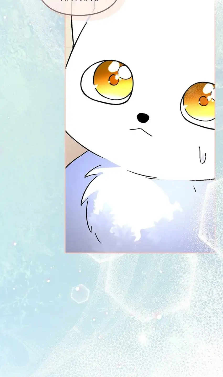 The Terminally Ill Baby Healer Doesn’t Hide Her Genius Chapter 41 Gambar 26