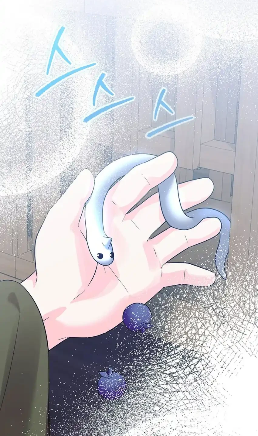 The Terminally Ill Baby Healer Doesn’t Hide Her Genius Chapter 41 Gambar 60