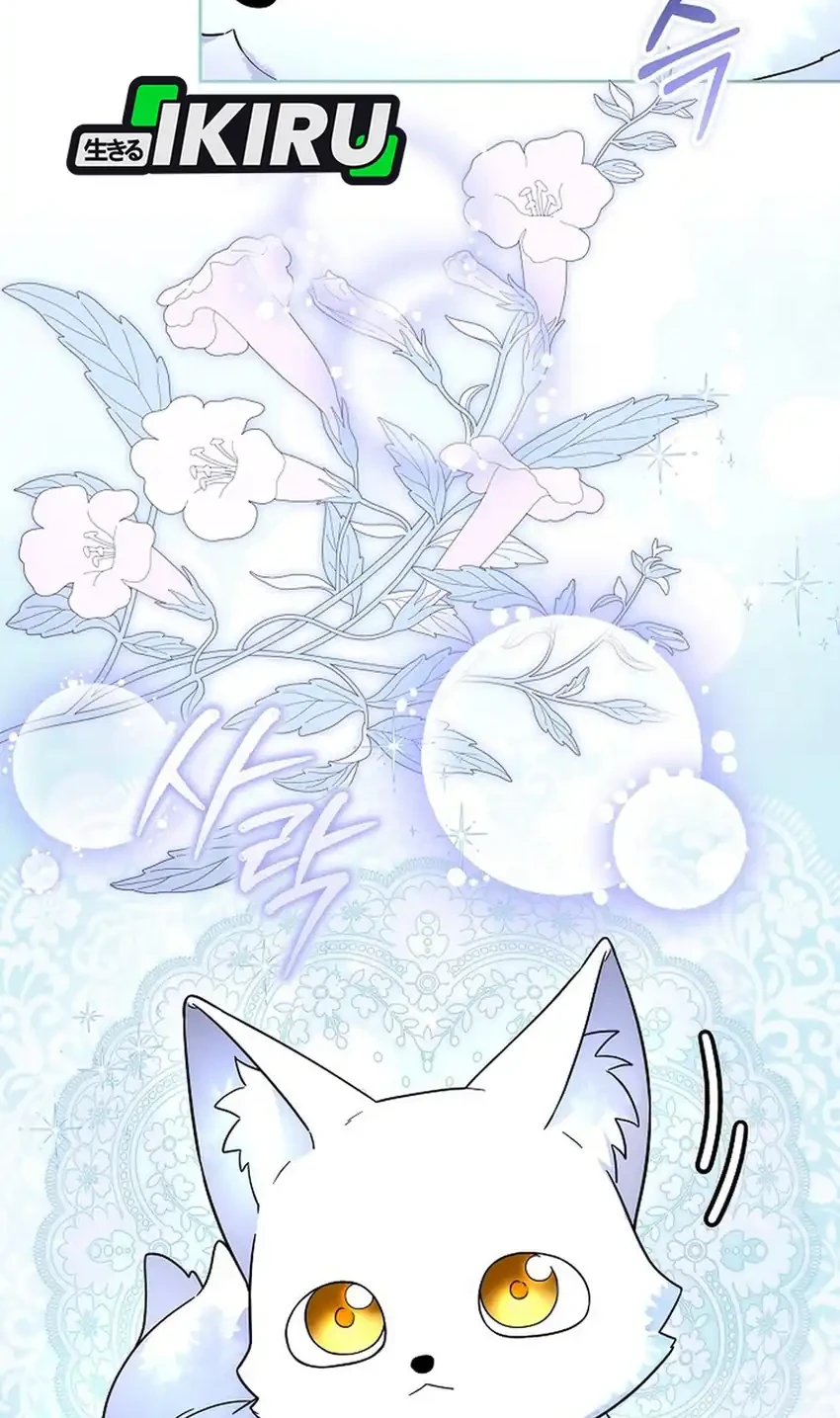 The Terminally Ill Baby Healer Doesn’t Hide Her Genius Chapter 41 Gambar 18