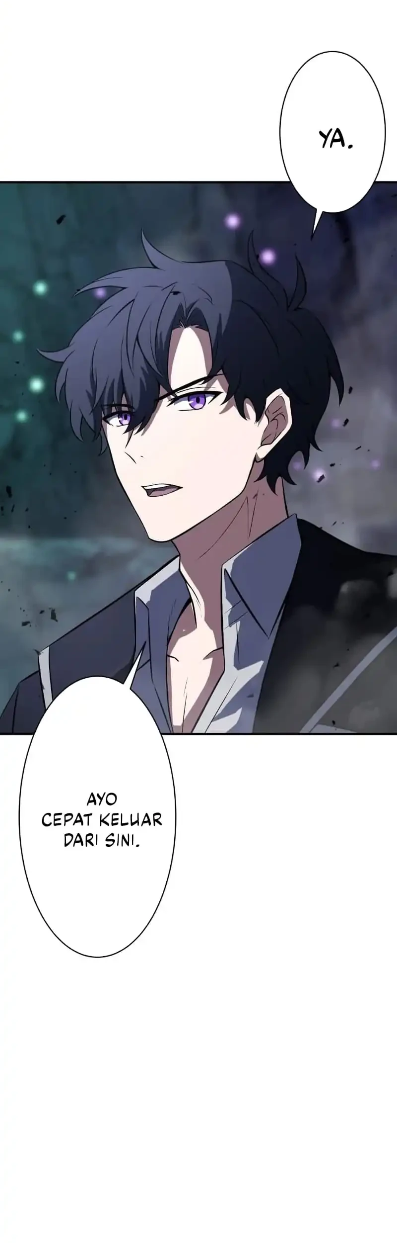 The Transcendent Holy Swordsman Regresses as the Youngest Son of a Magic Swordsman Family Chapter 17 Gambar 71