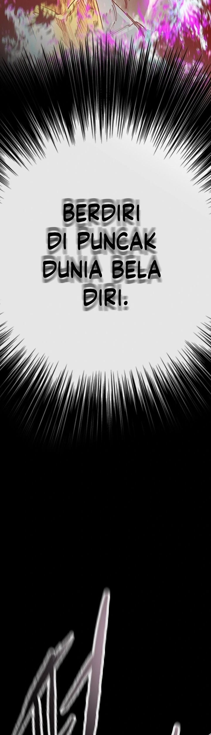 The Undefeatable Swordsman Chapter 250 Gambar 78