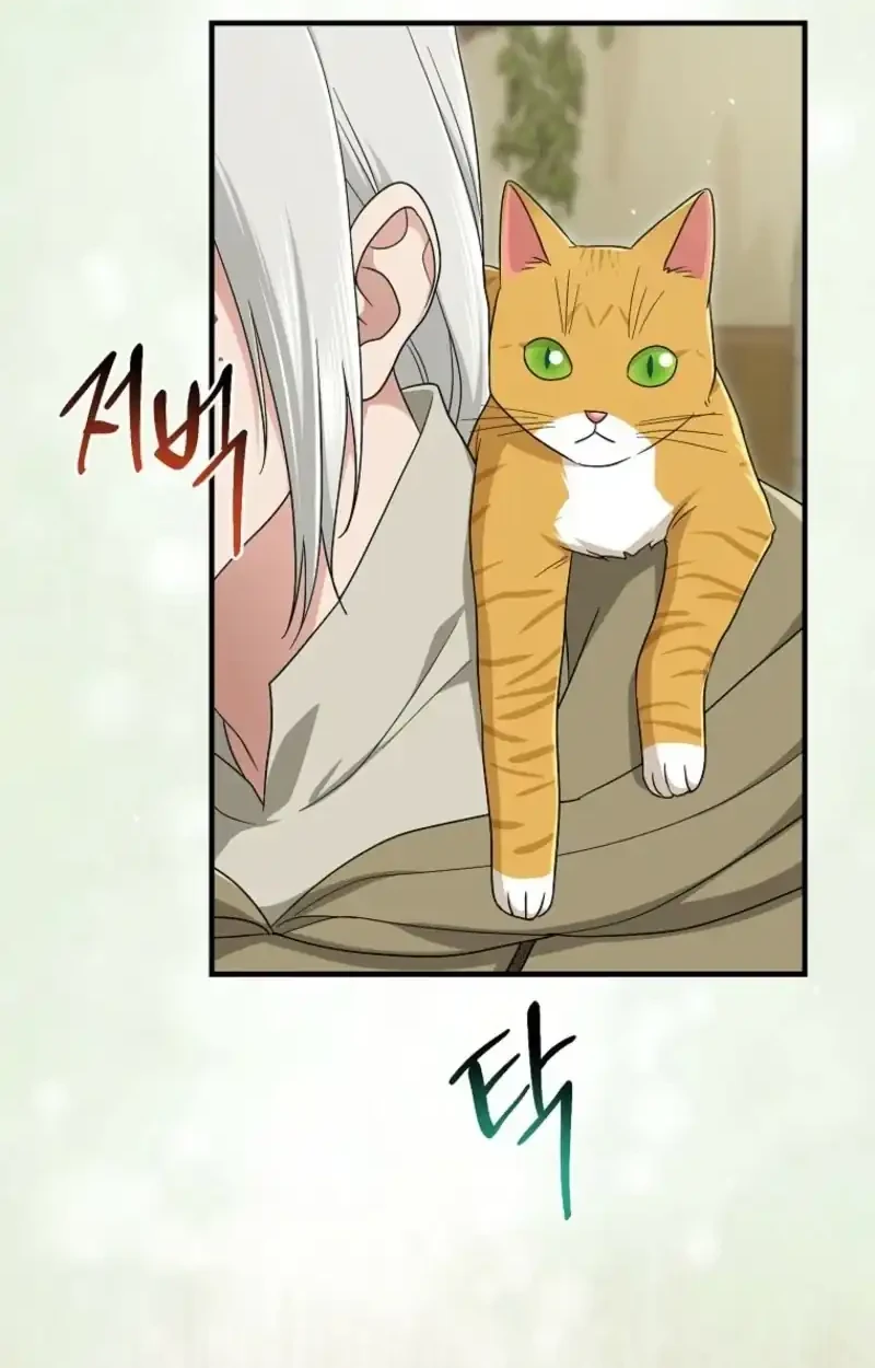 The Unintentionally Ideal Adopted Daughter Chapter 126 Gambar 72