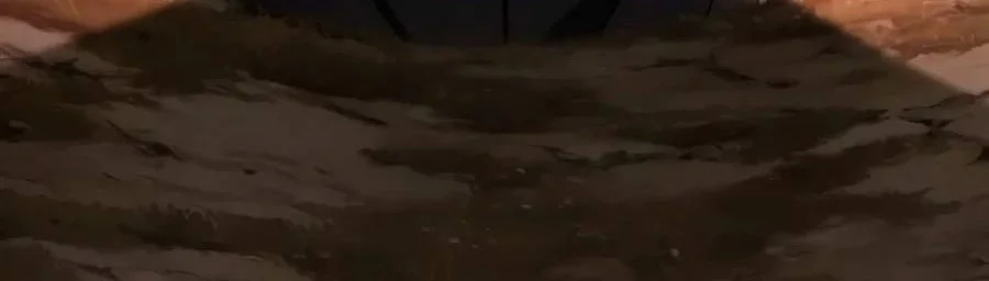The World After the Fall Chapter 257 Gambar 41