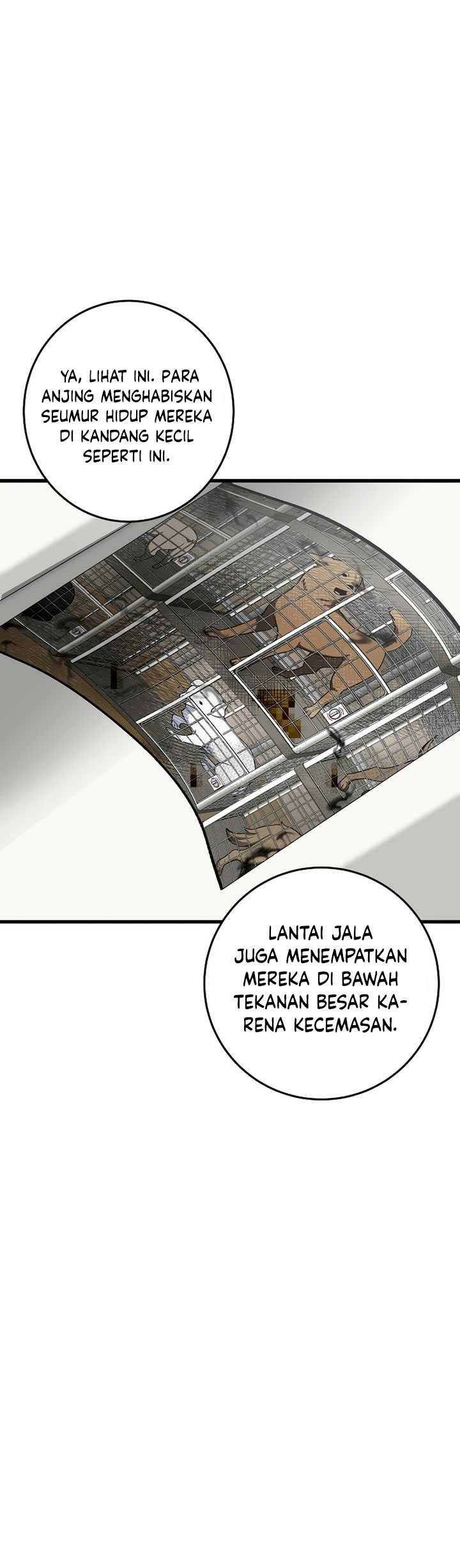 This is the Law Chapter 138 Gambar 58