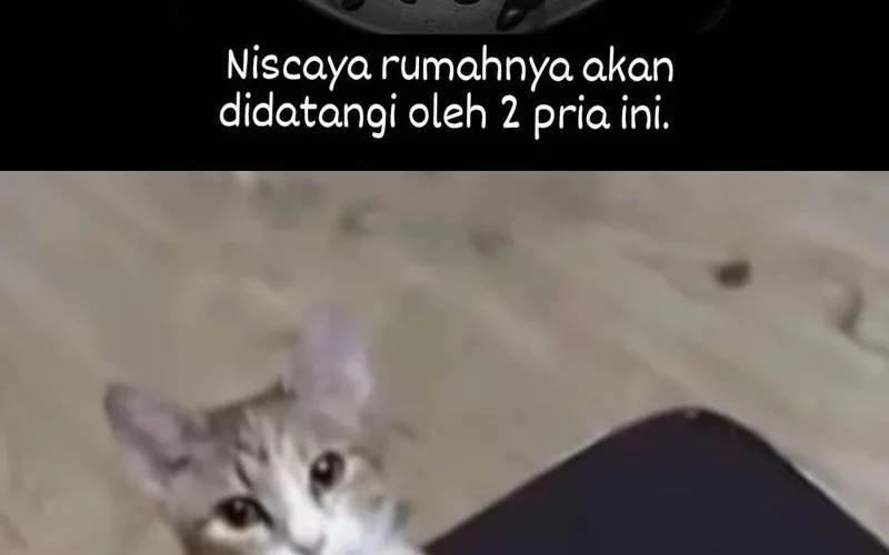 This Villain Has Some Conscience, but Not Much! Chapter 258 Gambar 18