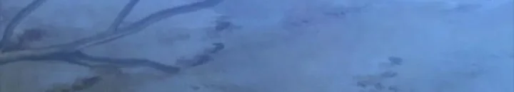 Manhwa What A Bountiful Harvest, Demon Lord! Chapter 44 gambar nomor 2