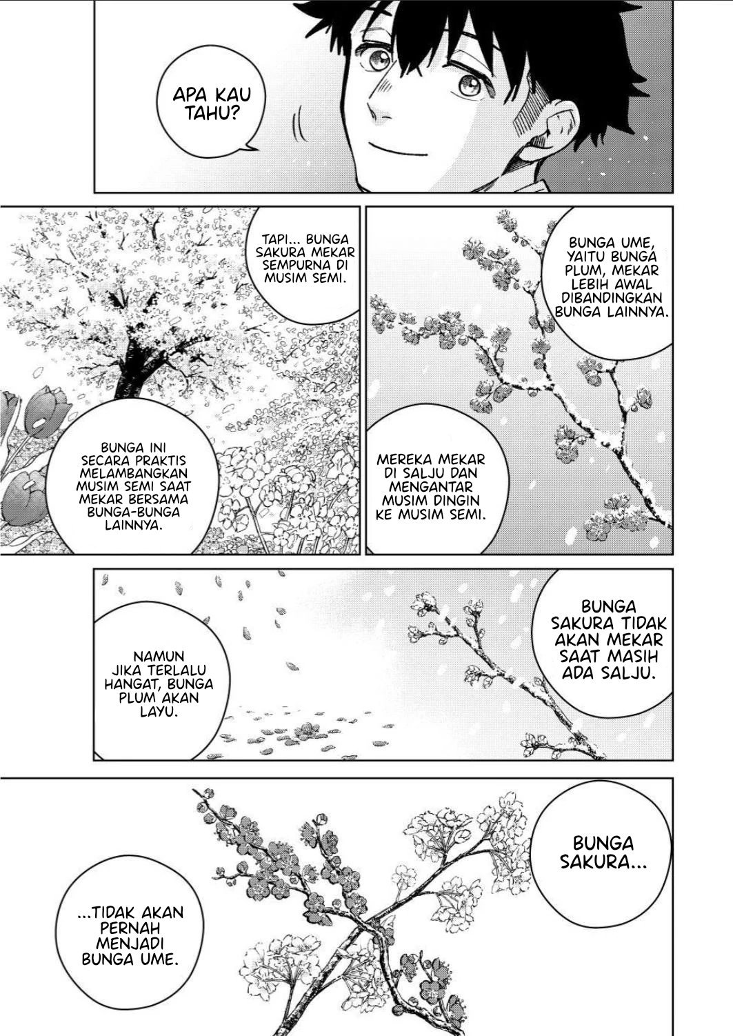 Wind Breaker (NII Satoru) Chapter 181 Gambar 14
