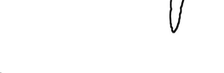 Wind Breaker Chapter 513 Gambar 29