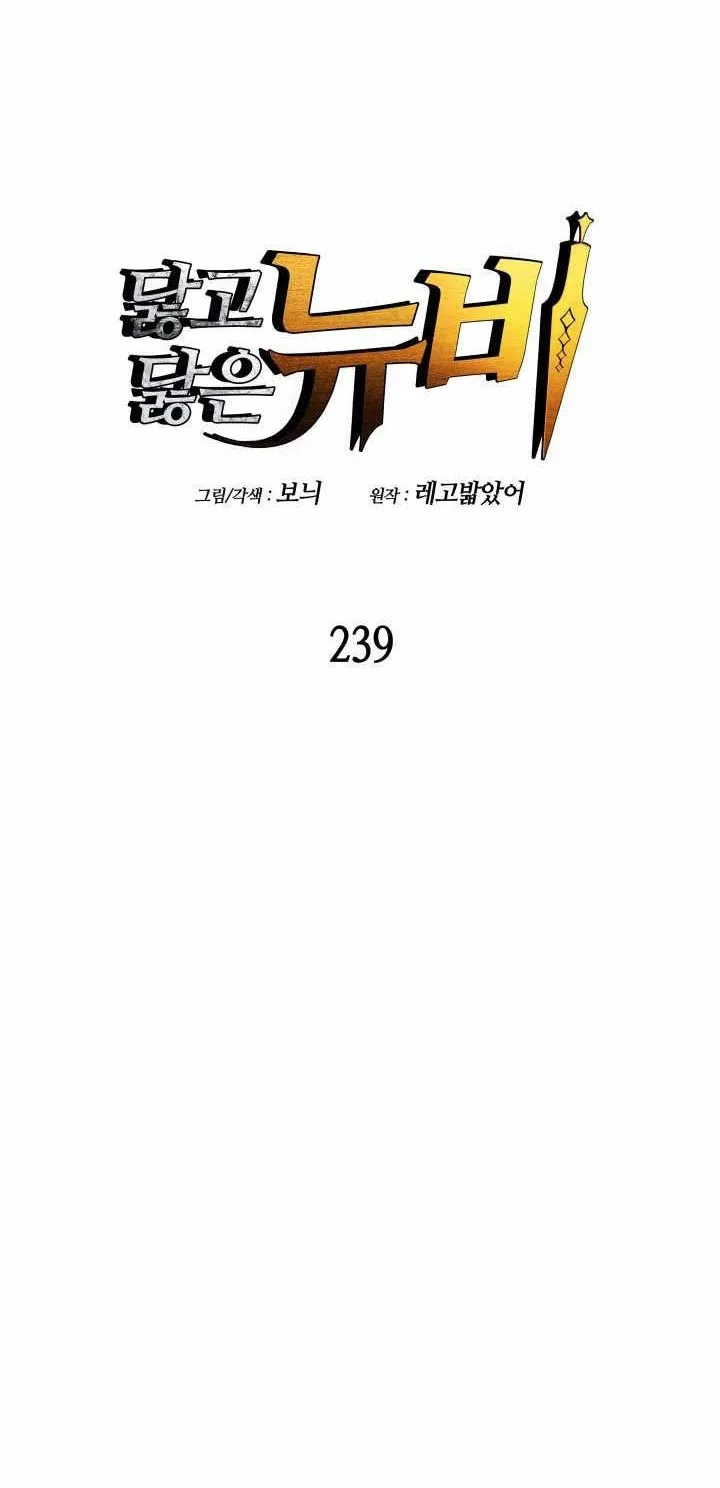 Worn and Torn Newbie Chapter 239 Gambar 10