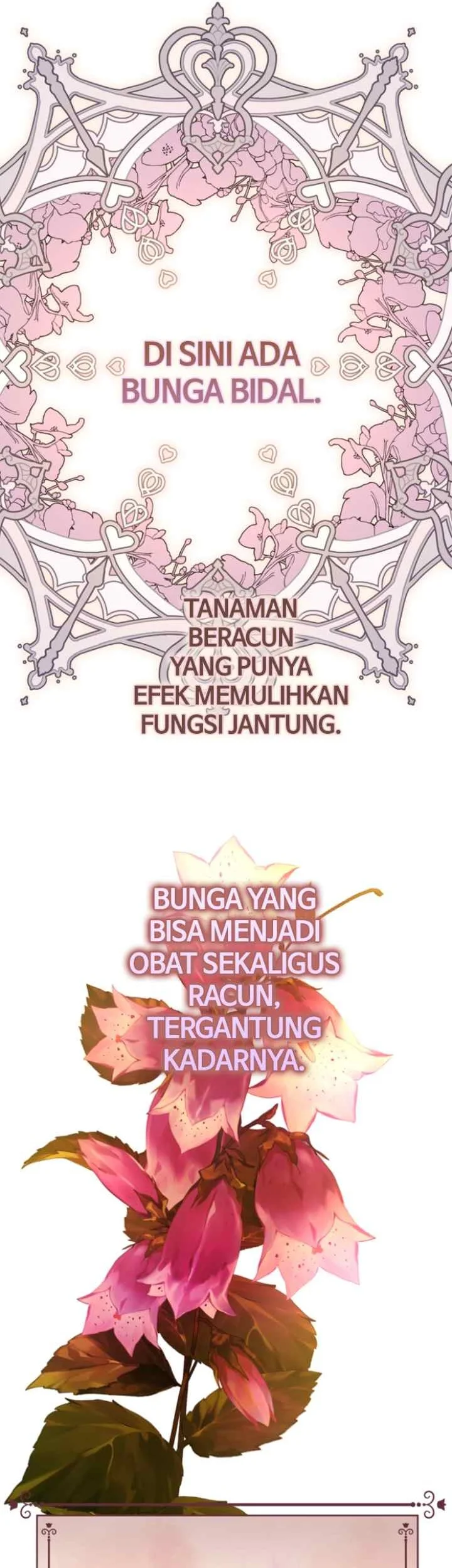 Your Throne Chapter 239 Gambar 38