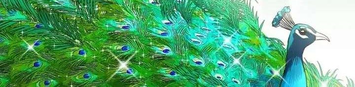 She Is Coming, Please Get Down! Chapter 38.1 Gambar 16