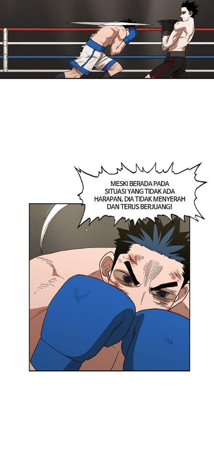 The Boxer Chapter 50 Gambar 19