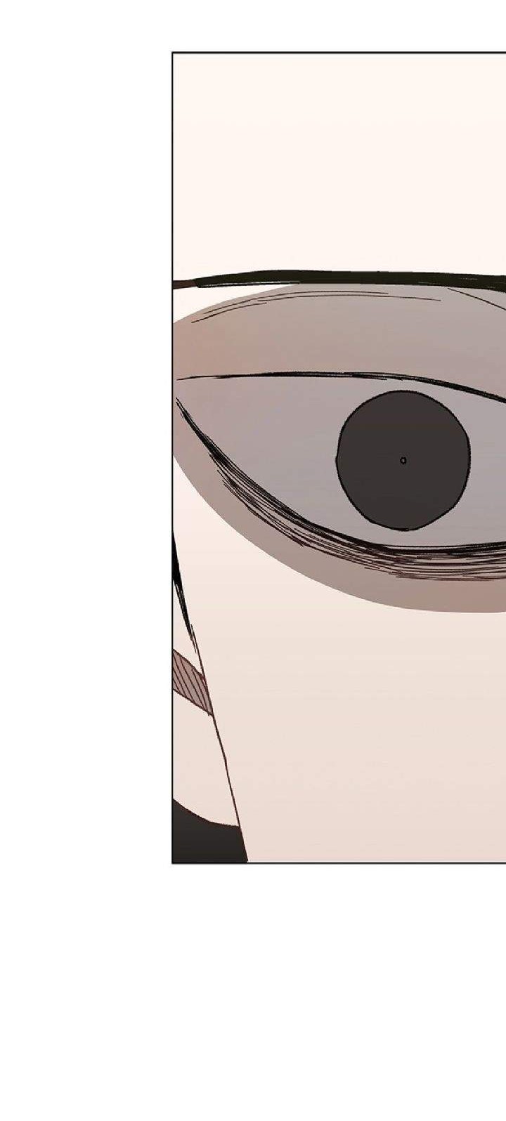 The Boxer Chapter 50 Gambar 47
