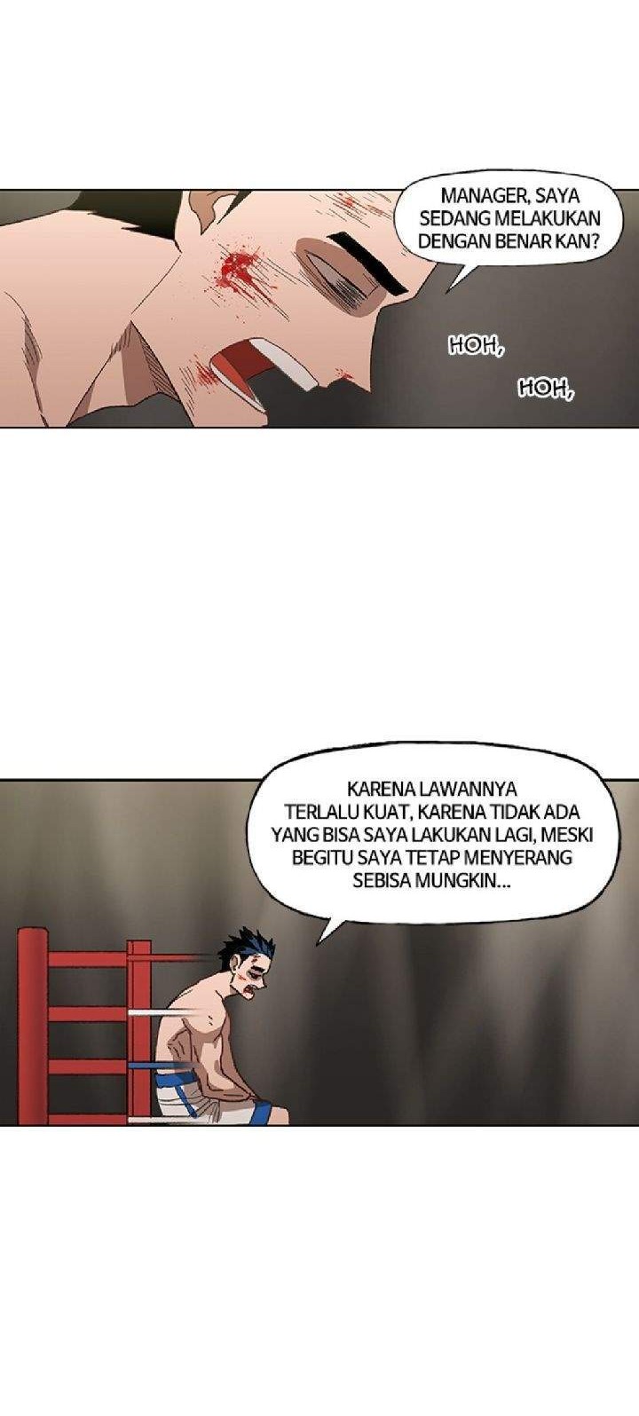The Boxer Chapter 50 Gambar 4