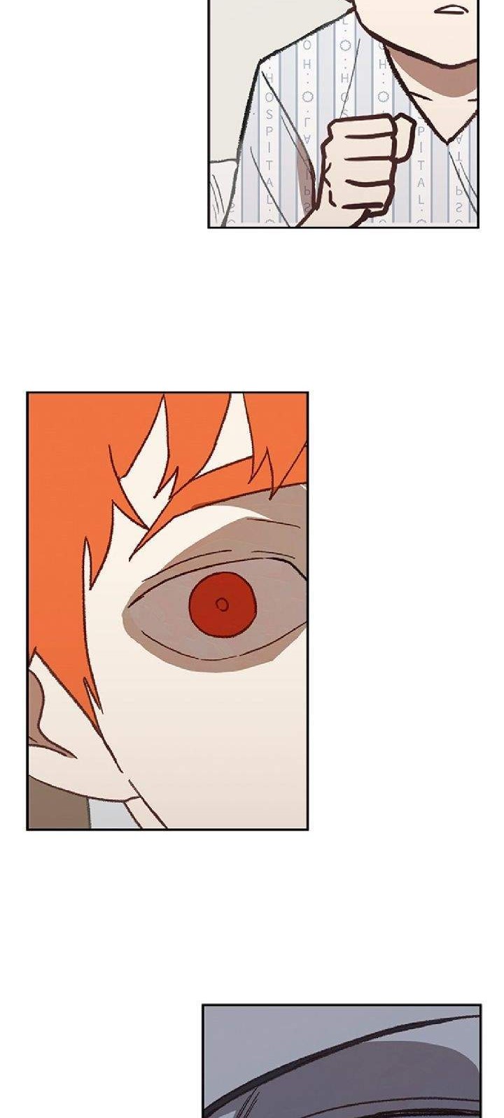 The Boxer Chapter 50 Gambar 67