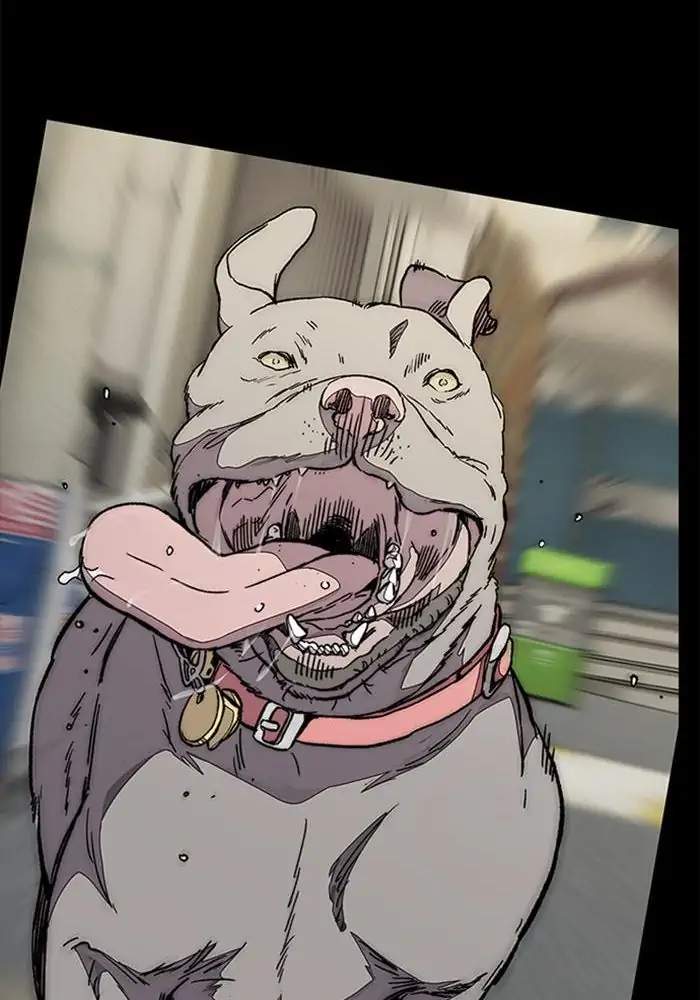 Wind Breaker Chapter 338 Gambar 121