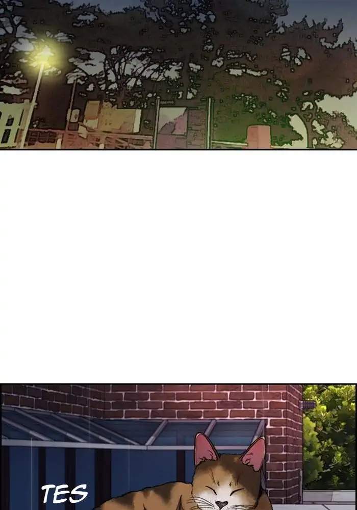 Wind Breaker Chapter 311 Gambar 109