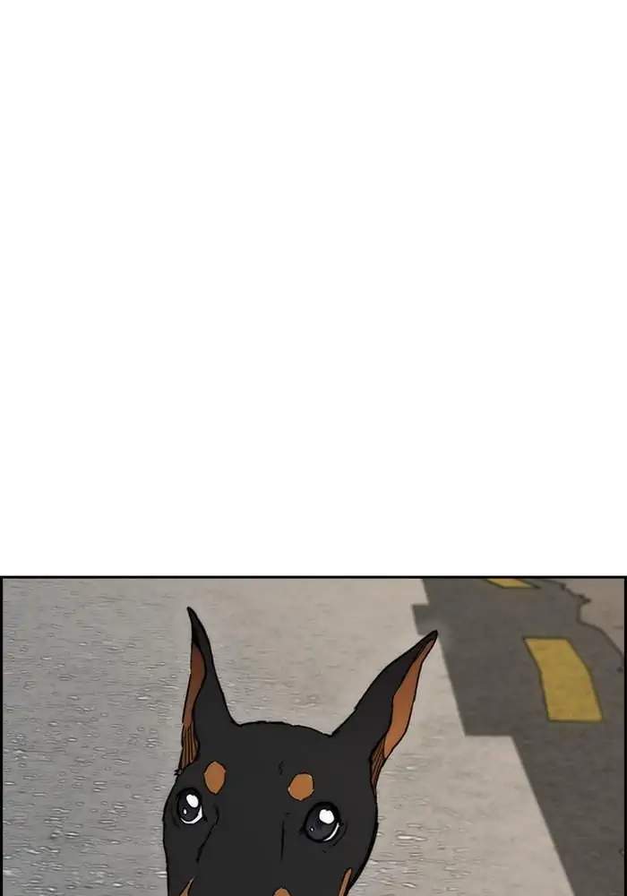 Wind Breaker Chapter 275 Gambar 80