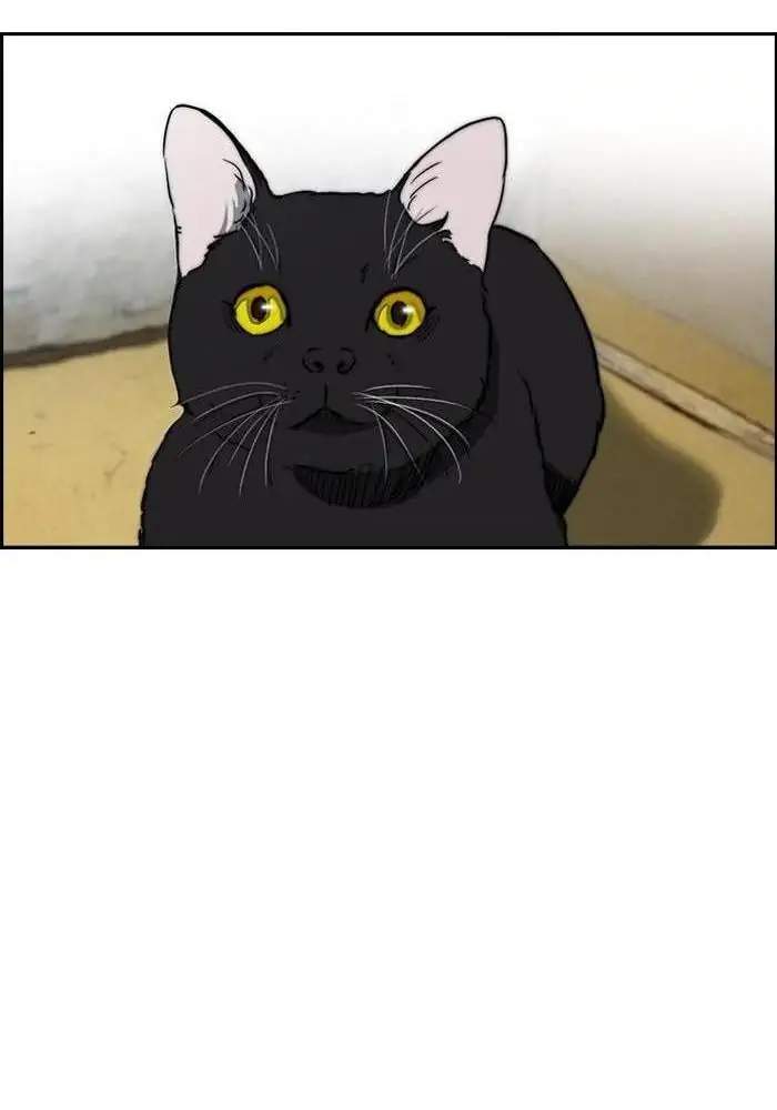 Wind Breaker Chapter 217 Gambar 54