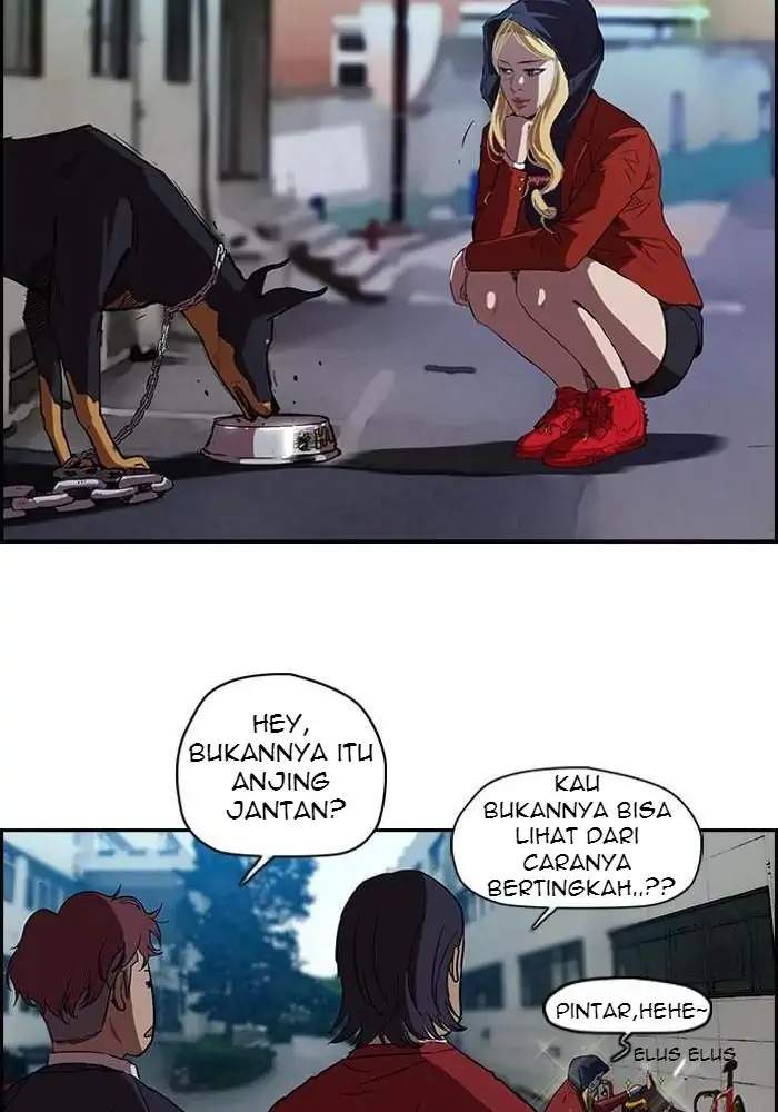 Wind Breaker Chapter 61 Gambar 24