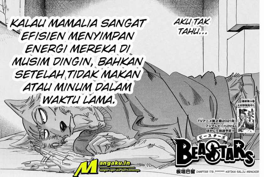 Baca Manga Beastars Chapter 173 Gambar 2