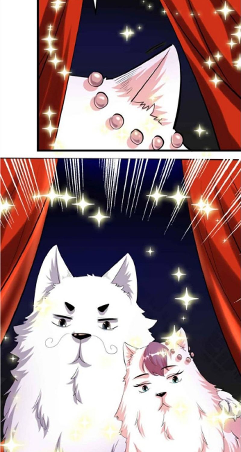 I Might Be A Fake Cultivator Chapter 95 Gambar 40