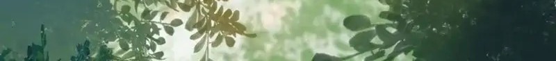 The Ghostly Doctor Chapter 447 Gambar 18