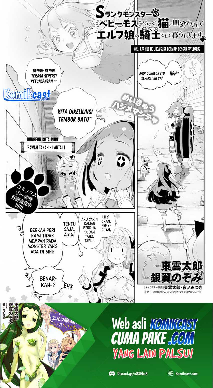 Manga S-Rank Monster no Behemoth Dakedo, Neko to Machigawarete Erufu Musume no Kishi (Pet) Toshite Kurashitemasu Chapter 41 gambar nomor 2