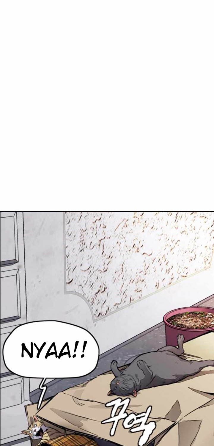 Wind Breaker Chapter 382 Gambar 95