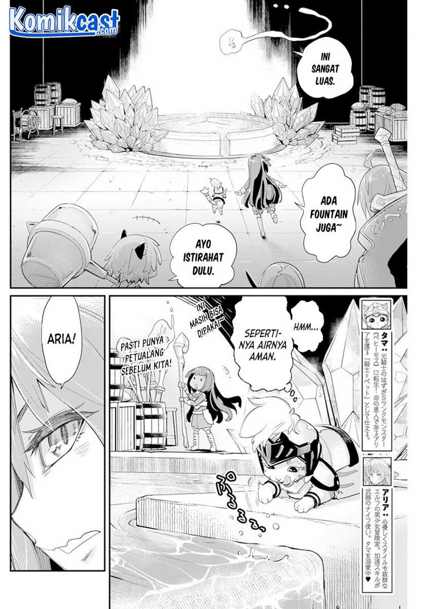 S-Rank Monster no Behemoth Dakedo, Neko to Machigawarete Erufu Musume no Kishi (Pet) Toshite Kurashitemasu Chapter 43 Gambar 3