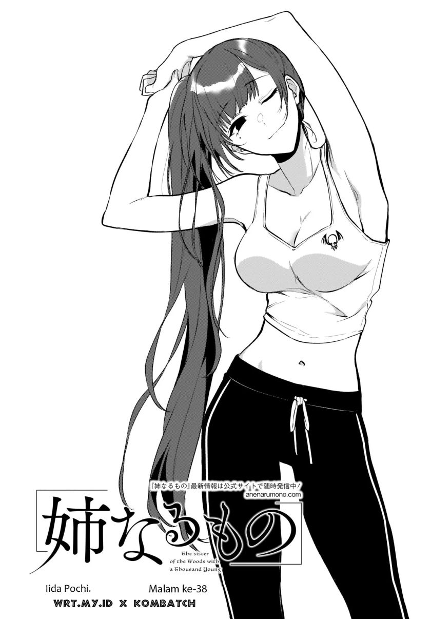Baca Manga Ane Naru Mono Chapter 38 Gambar 2