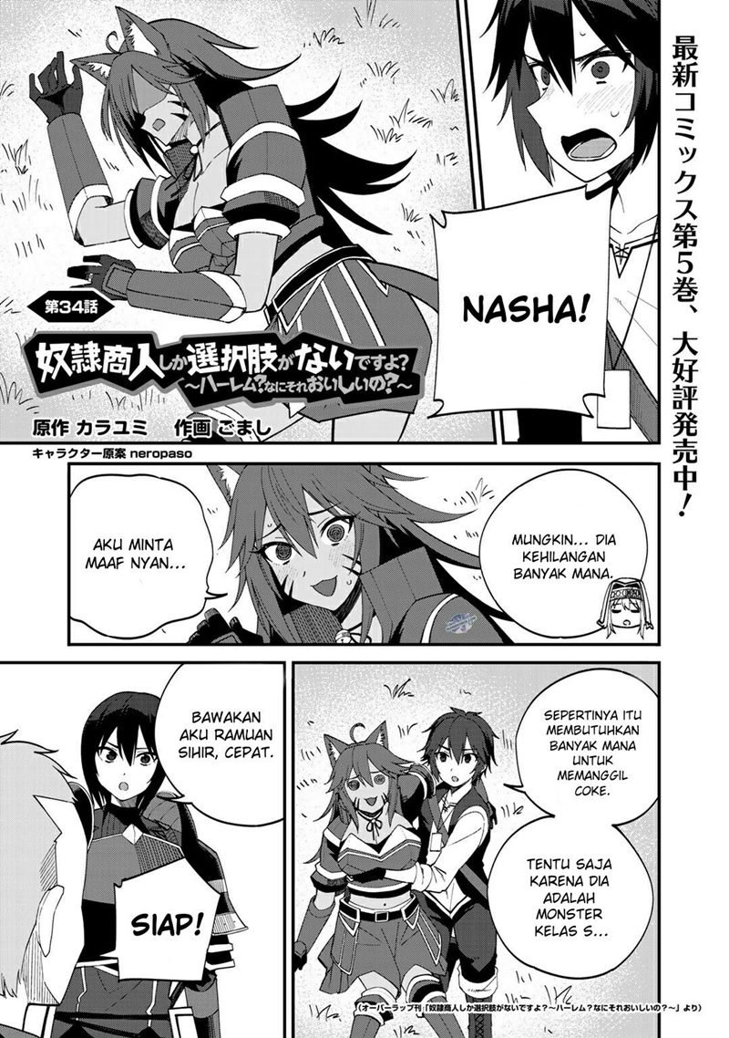 Baca Manga Dorei Shounin shika Sentakushi ga nai desu yo? ~Harem? Nani sore oishii no?~ Chapter 34 Gambar 2